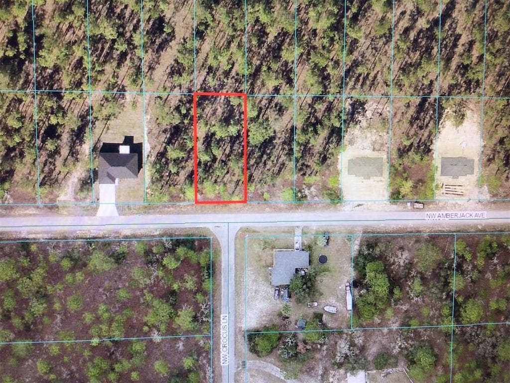 0 NW Amberjack Ave, Dunnellon, FL 34431