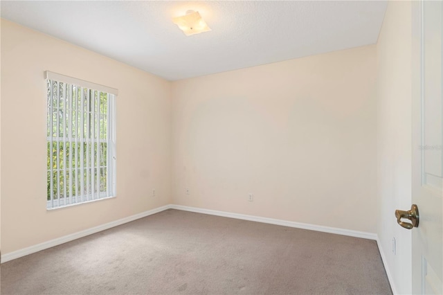 4973 SW 107th Loop, Ocala, FL 34476 - photo 20