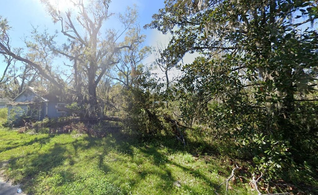 823 S Warner Ave, Perry, FL 32348 - view of yard