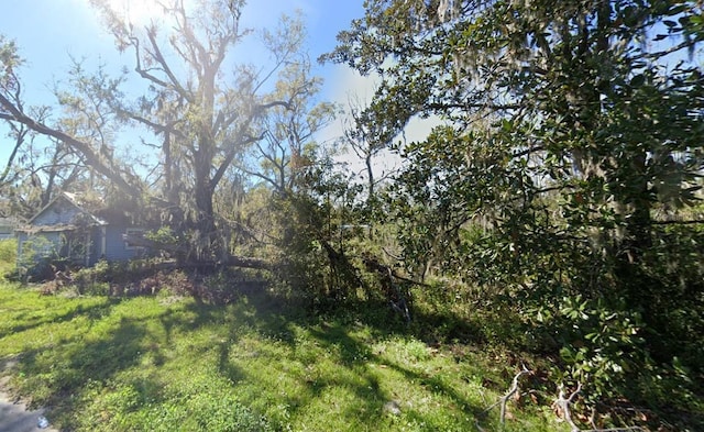 823 S Warner Ave, Perry, FL 32348 - view of yard