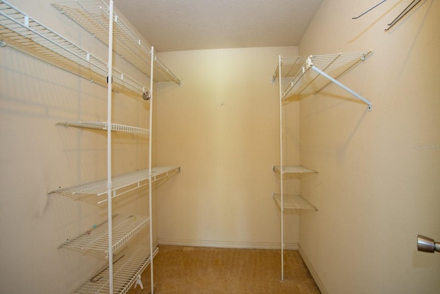 205 NE 53rd St, Ocala, FL 34479 - walk in closet with carpet flooring