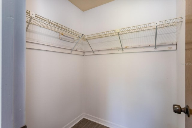 205 NE 53rd St, Ocala, FL 34479 - spacious closet featuring dark wood-type flooring
