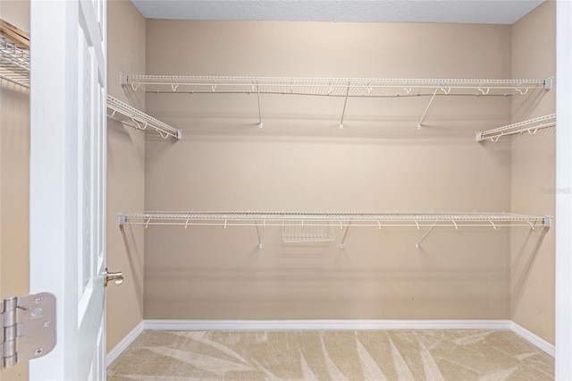 4970 NW 35th Lane Rd, Ocala, FL 34482 - spacious closet with carpet flooring
