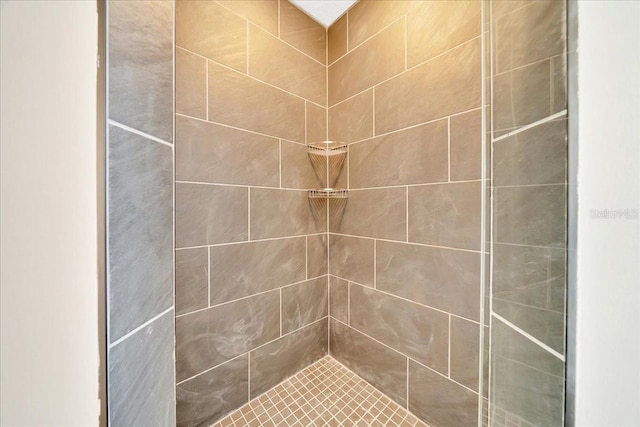 6631 SE 11th Loop, Ocala, FL 34472 - bathroom with a tile shower