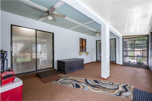 4 Mangrove Ct W, Homosassa, FL 34446 - photo 29