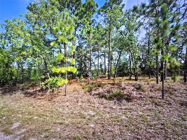 6745 N Darlington Dr, Dunnellon, FL 34434 - photo 3