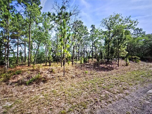6745 N Darlington Dr, Dunnellon, FL 34434 - photo 4