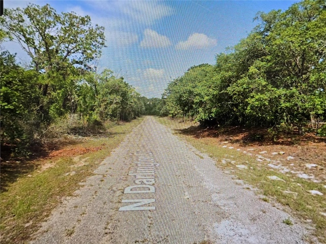 6745 N Darlington Dr, Dunnellon, FL 34434 - photo 5