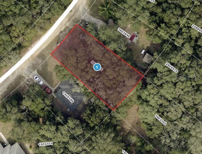Palm St, Lady Lake, FL 32159