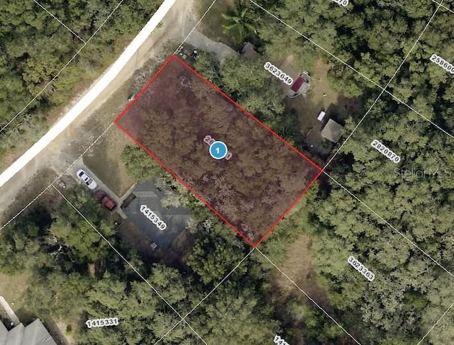 Palm St, Lady Lake, FL 32159