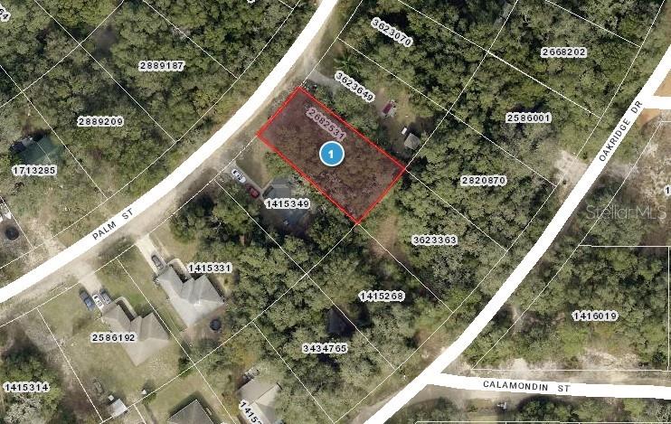 Palm St, Lady Lake, FL 32159