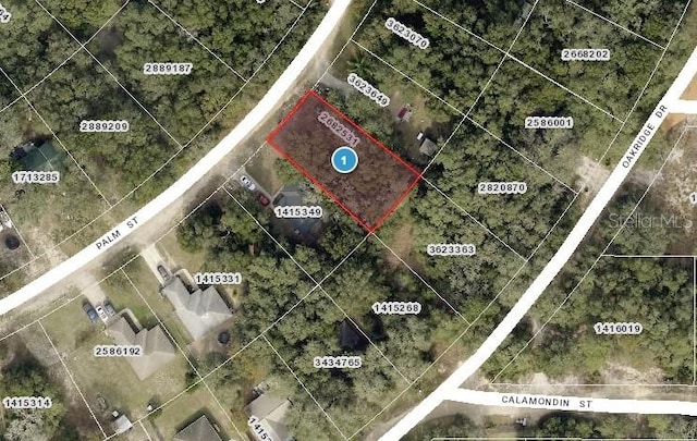 Palm St, Lady Lake, FL 32159