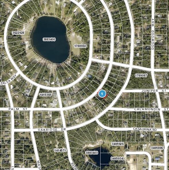 Palm St, Lady Lake, FL 32159