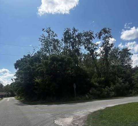 SE 42nd Ave, Summerfield, FL 34491 - photo 2