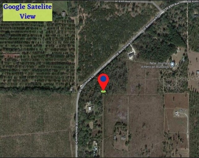 LOT10 SE Benchmark Dr, Madison, FL 32340 - photo 4