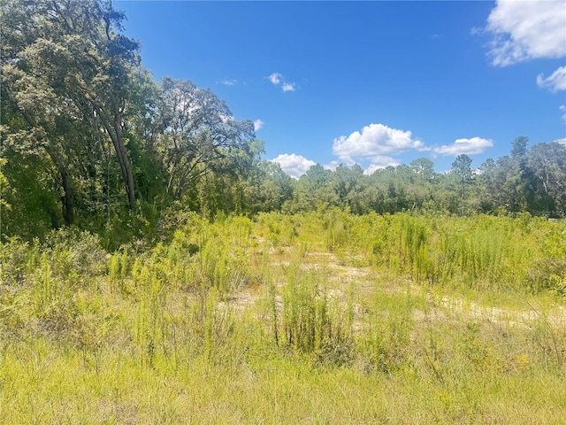 TBD SW 91st Ln, Dunnellon, FL 34432 - photo 1