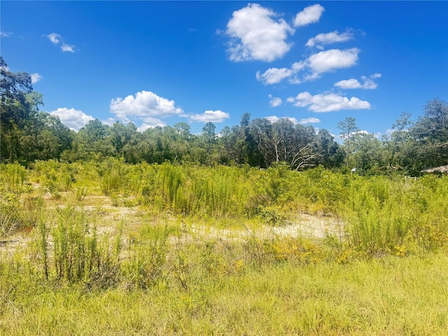 TBD SW 91st Ln, Dunnellon, FL 34432 - photo 2