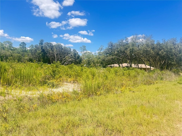 TBD SW 91st Ln, Dunnellon, FL 34432 - photo 3