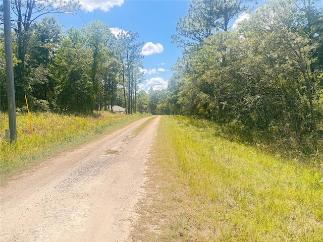 TBD SW 91st Ln, Dunnellon, FL 34432 - photo 4