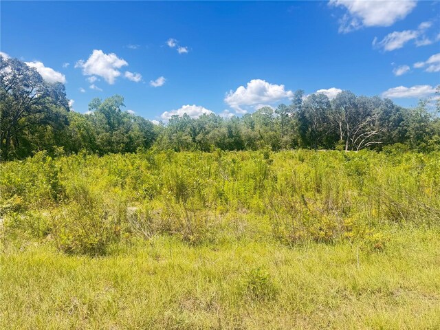 TBD SW 91st Ln, Dunnellon, FL 34432 - photo 5