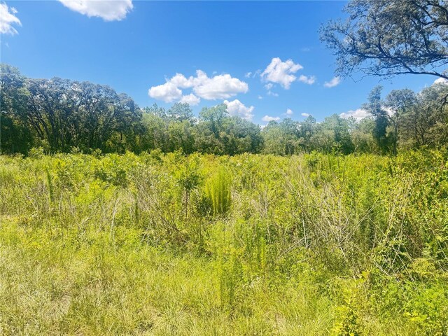 TBD SW 91st Ln, Dunnellon, FL 34432 - photo 6