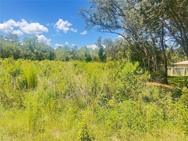 TBD SW 91st Ln, Dunnellon, FL 34432 - photo 7
