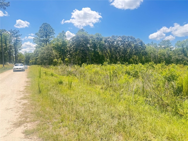TBD SW 91st Ln, Dunnellon, FL 34432 - photo 8