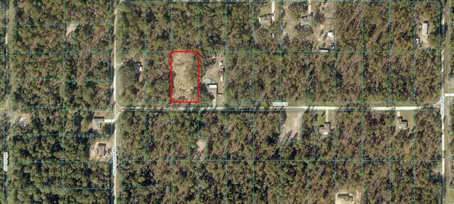 TBD SW 91st Ln, Dunnellon, FL 34432 - photo 9