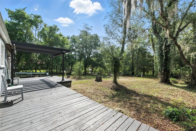 5693 Payette Ave, Keystone Heights, FL 32656 - wooden deck featuring a trampoline
