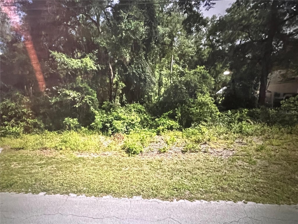 3898 E Dano St, Inverness, FL 34453 - photo 1