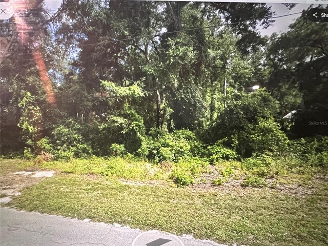 3898 E Dano St, Inverness, FL 34453 - photo 4