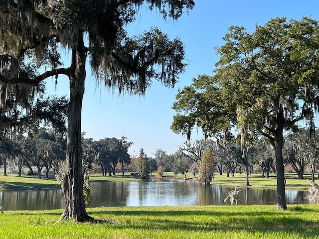 0 TBD SE 157th Street Rd, Summerfield, FL 34491 - photo 1