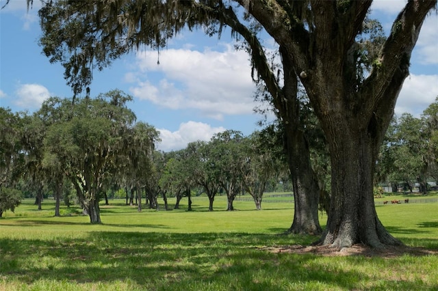 0 TBD SE 157th Street Rd, Summerfield, FL 34491 - photo 3