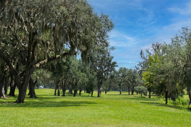 0 TBD SE 157th Street Rd, Summerfield, FL 34491 - photo 4