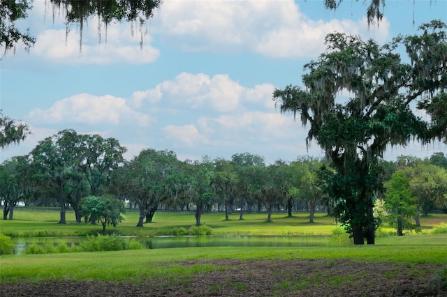 0 TBD SE 157th Street Rd, Summerfield, FL 34491 - photo 5