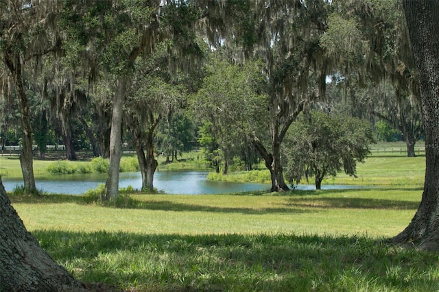 0 TBD SE 157th Street Rd, Summerfield, FL 34491 - photo 6