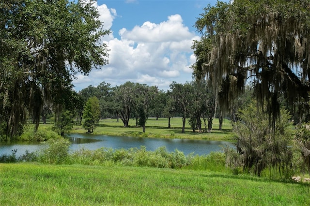 0 TBD SE 157th Street Rd, Summerfield, FL 34491 - photo 7