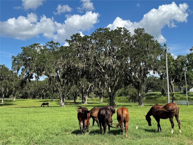 0 TBD SE 157th Street Rd, Summerfield, FL 34491 - photo 8