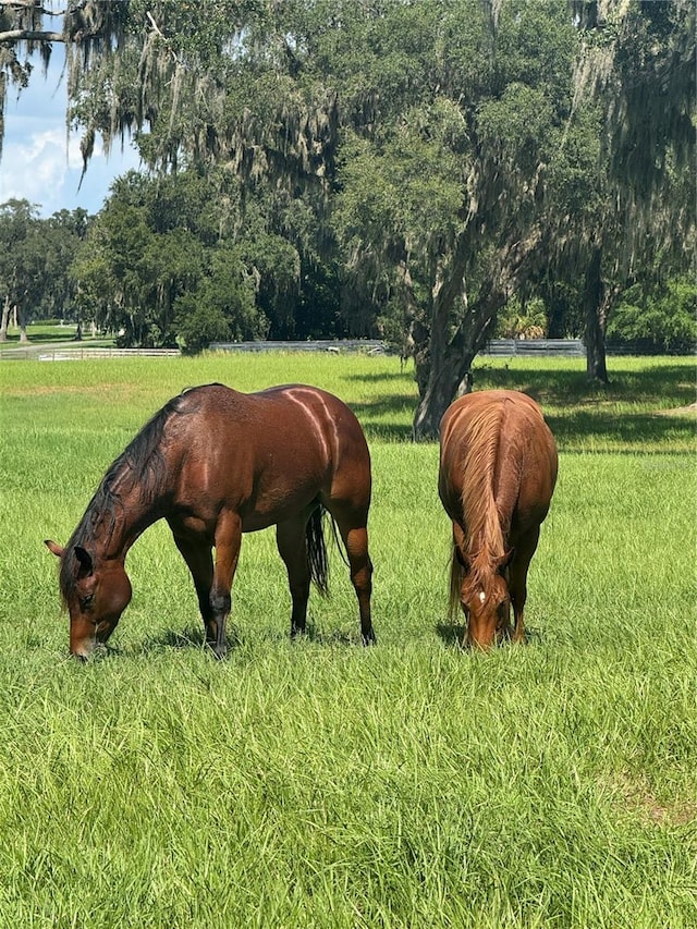 0 TBD SE 157th Street Rd, Summerfield, FL 34491 - photo 9