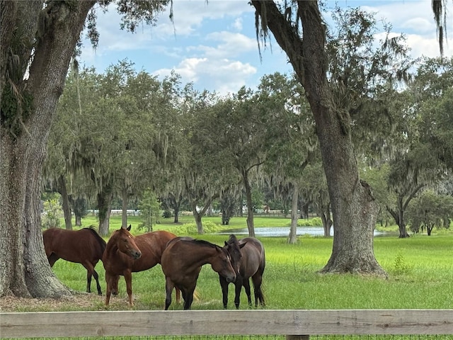 0 TBD SE 157th Street Rd, Summerfield, FL 34491 - photo 10