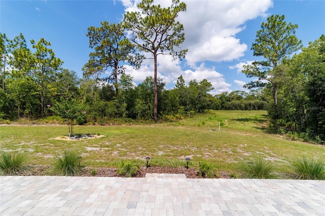 9746 SW 108th Terrace Rd, Ocala, FL 34481 - view of green lawn with a patio area