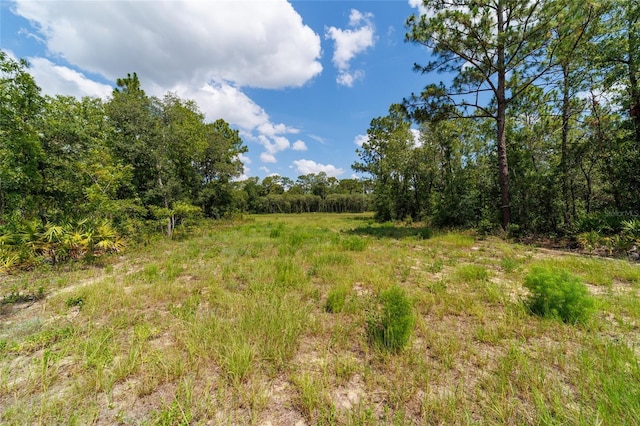 9746 SW 108th Terrace Rd, Ocala, FL 34481 - view of tree filled area