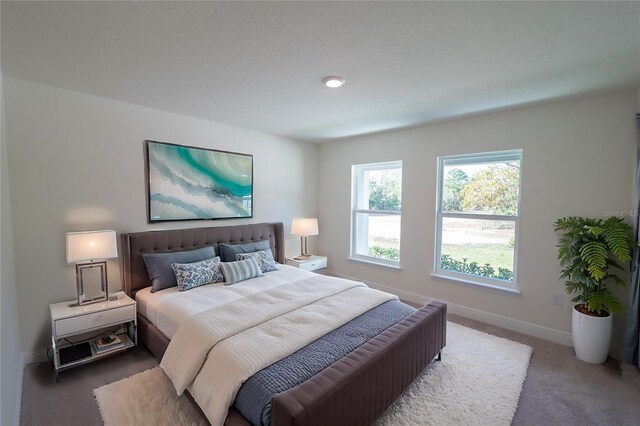 2858 W Camilo Dr, Citrus Springs, FL 34434 - carpeted bedroom with baseboards