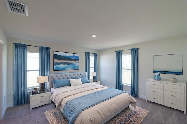 2858 W Camilo Dr, Citrus Springs, FL 34434 - bedroom with carpet, multiple windows, and recessed lighting