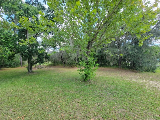 8410 N Elkcam Blvd, Citrus Springs, FL 34433 - photo 7
