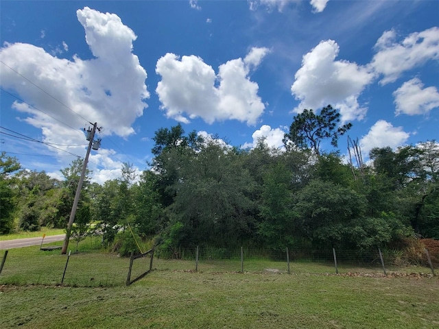 8410 N Elkcam Blvd, Citrus Springs, FL 34433 - photo 17