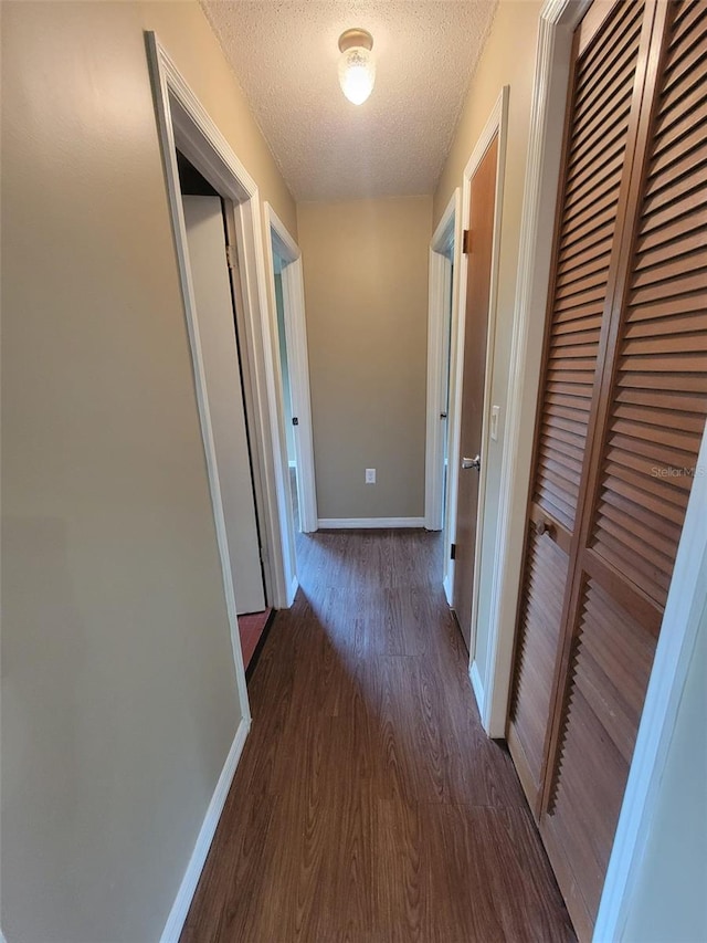 8410 N Elkcam Blvd, Citrus Springs, FL 34433 - photo 35