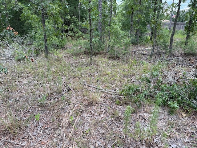 TBD SW 141st Ter, Ocala, FL 34481