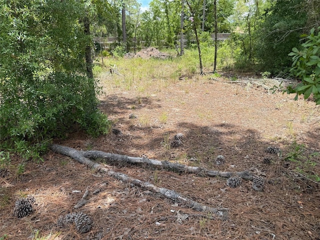 TBD SW 141st Ter, Ocala, FL 34481
