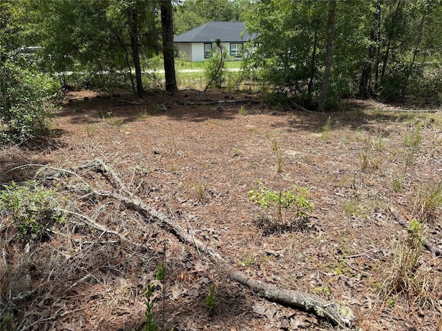 TBD SW 141st Ter, Ocala, FL 34481